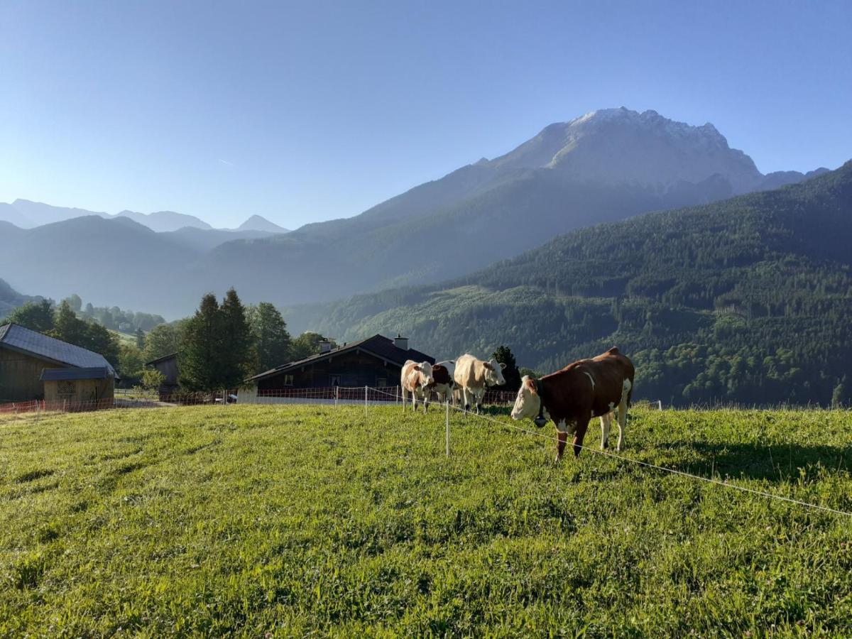 Klettnerlehen *